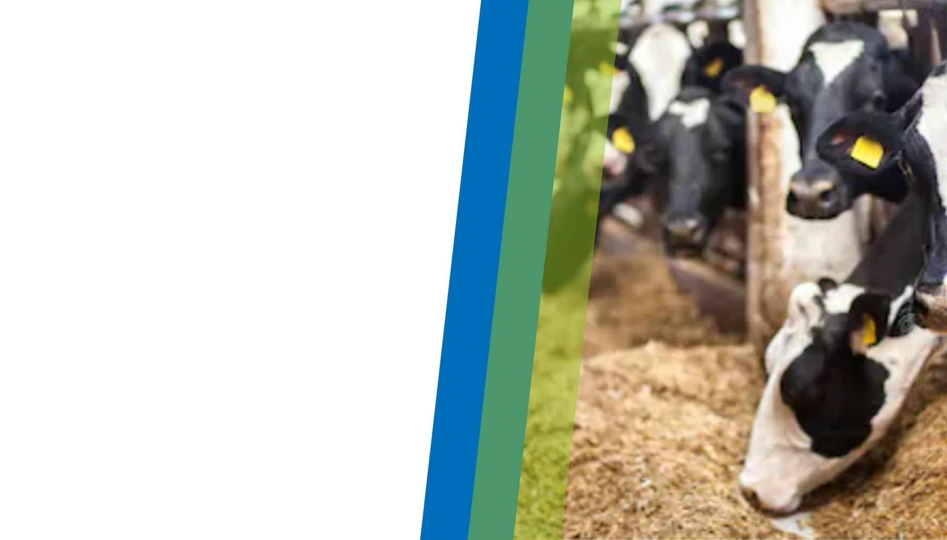 TRAIRE EST<br>VOTRE<br>PASSION